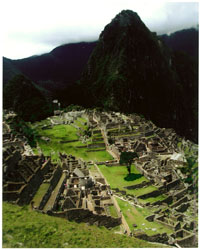 Andrea Sattui "Macchu Picchu"
