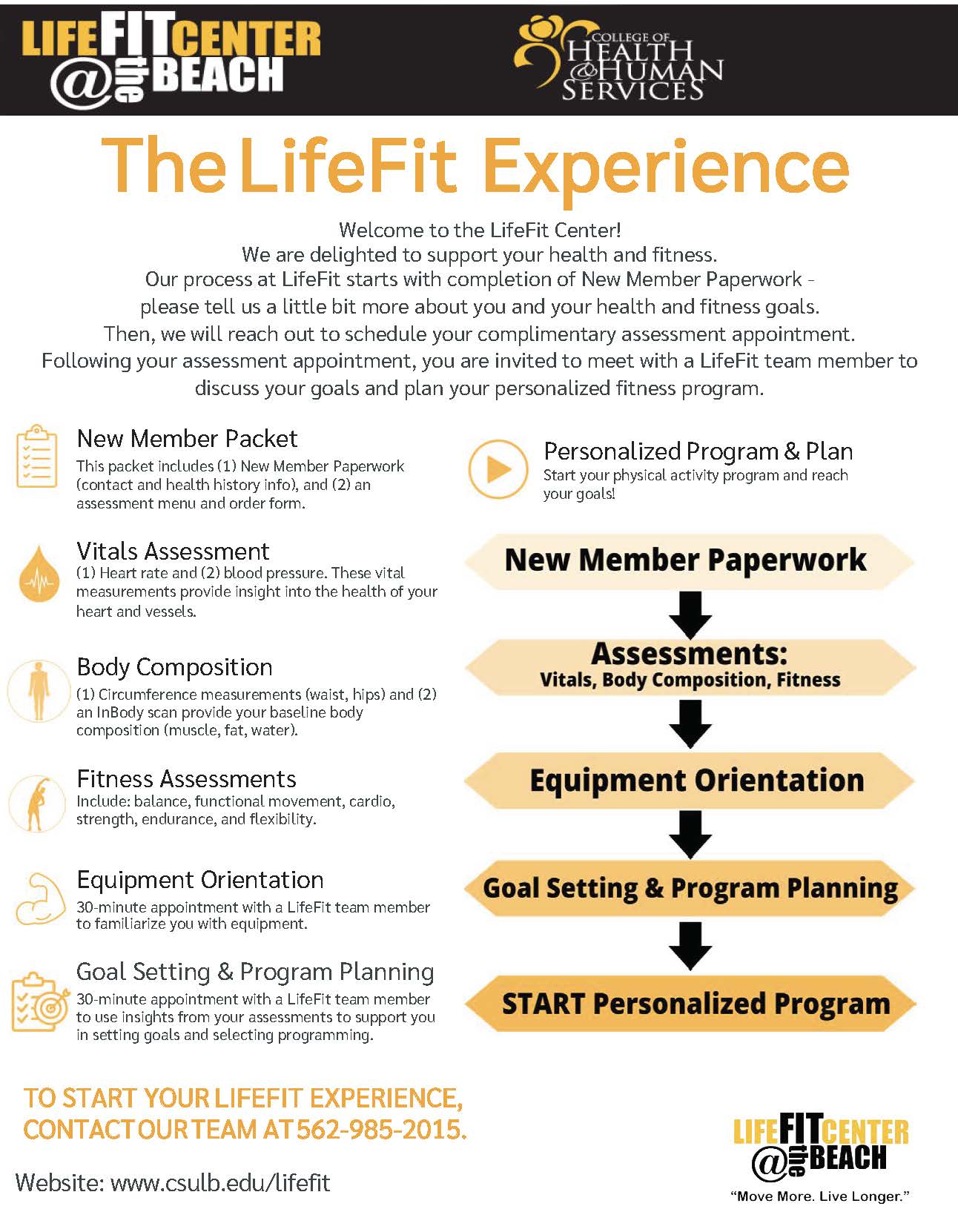 The LifeFit Experience