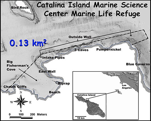 Fig. 3. Catalina Island Marine Science Center Marine Life Re