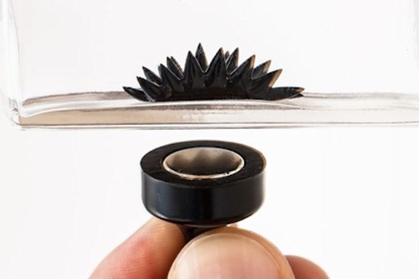 ferrofluid spikes in the presence of a magnet