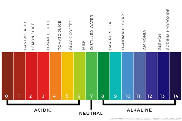pH scale - gastric acid is most acidic, sodium hydroxide is 