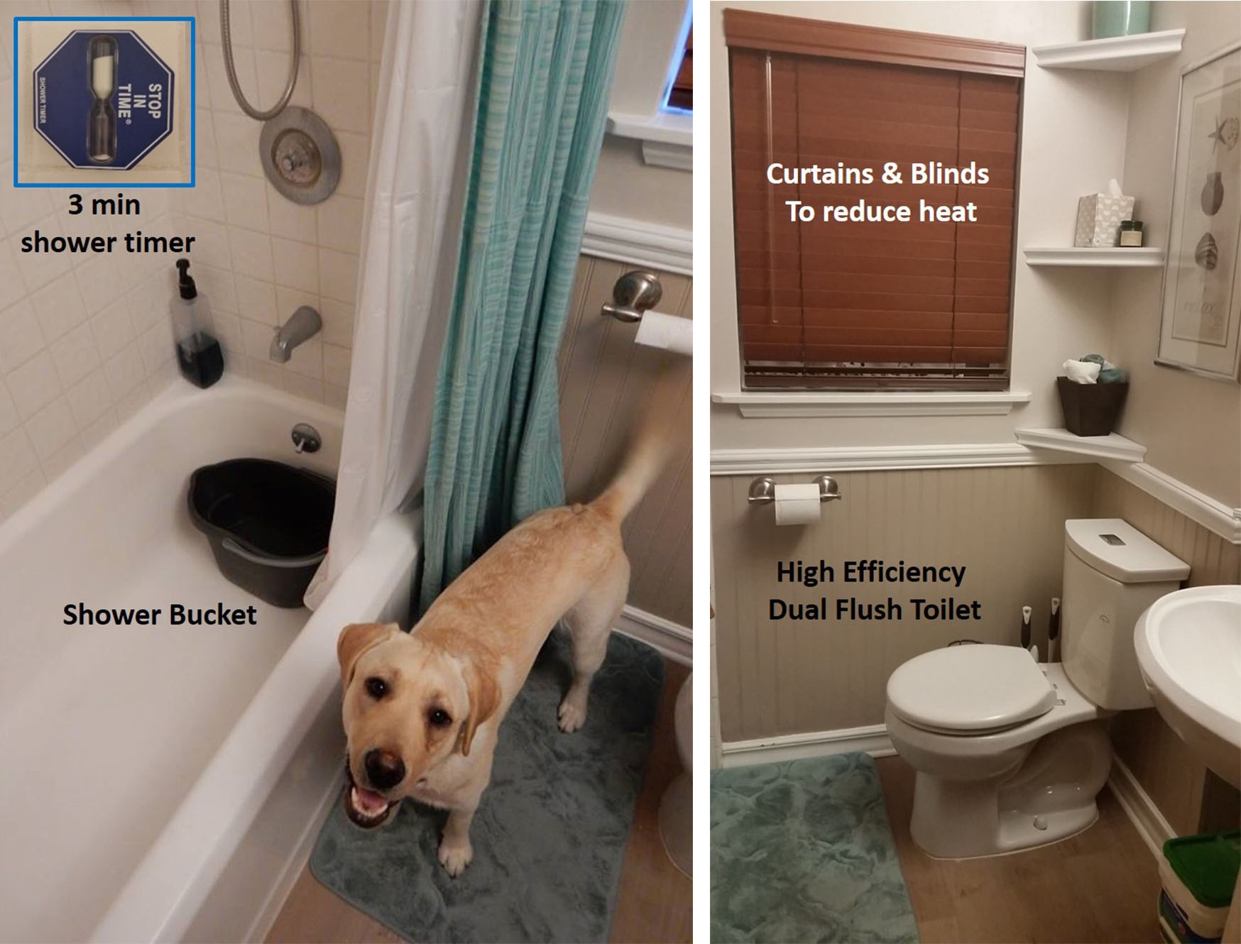 dog_and_bathroom_edit_2.jpg dog