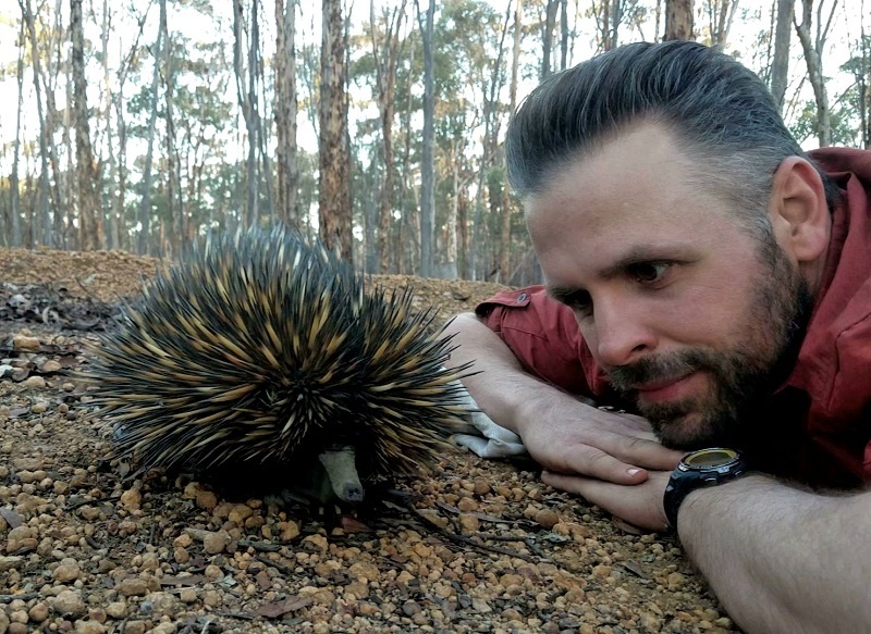 echidnacloseup.jpg Dr. Stankowich with an echidna