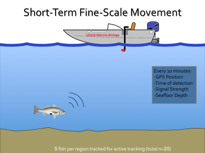 Fig. 13. short-term, fine-scale active tracking field setup