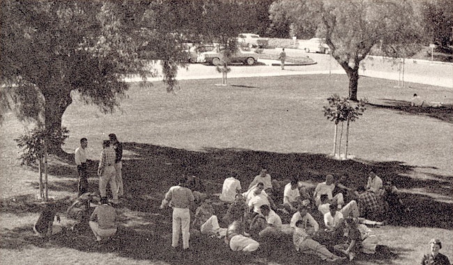 Students gathering in the shade on the lawn of the upper cam