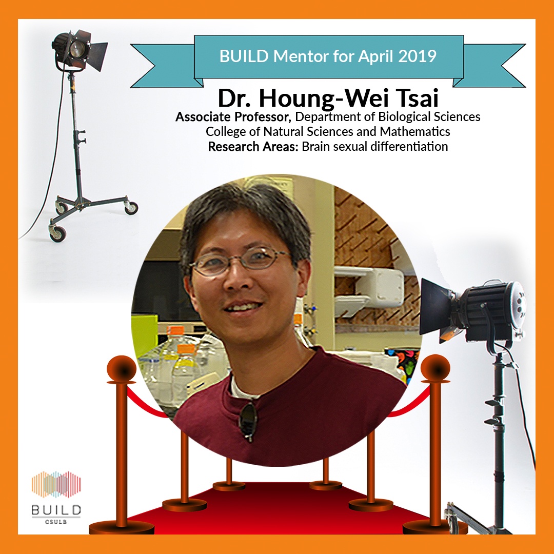 Mentor Spotlight – April 2019 – Dr. Houng-Wei Tsai