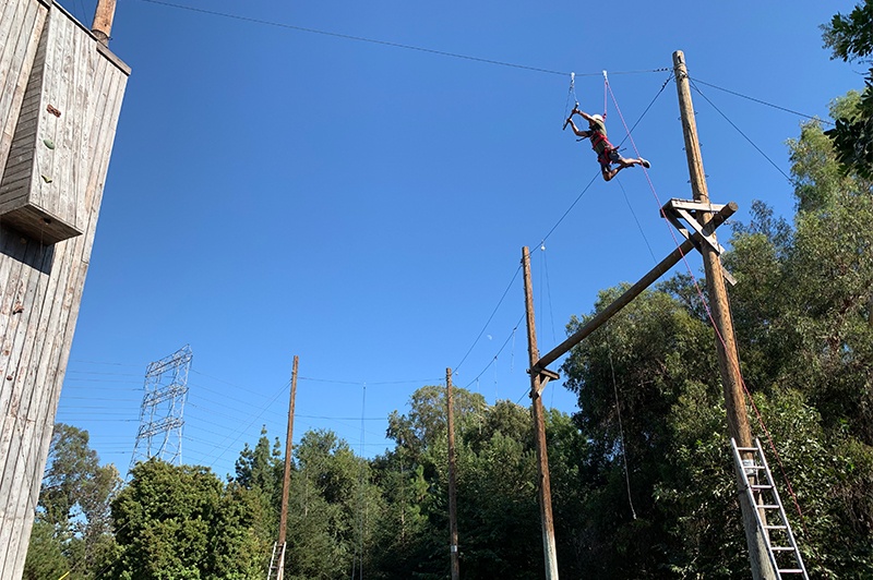 trapeze activity