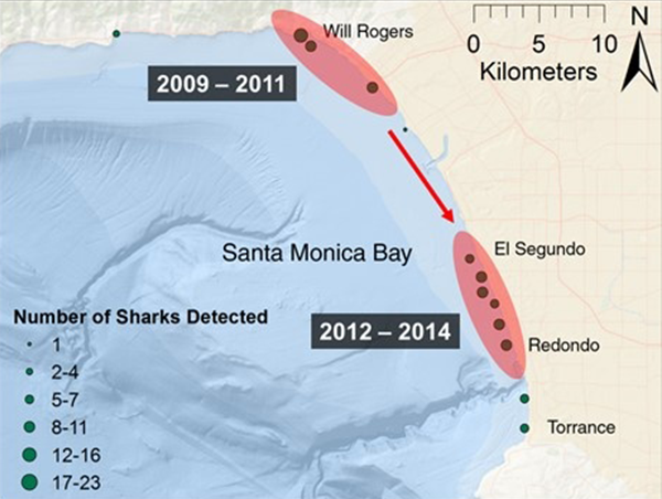 Sharks detection data from 2009 to 2014. Sharks seem to chan
