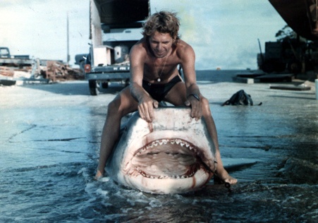 Image: shark-lab-history-tricas-tiger-shark.jpg