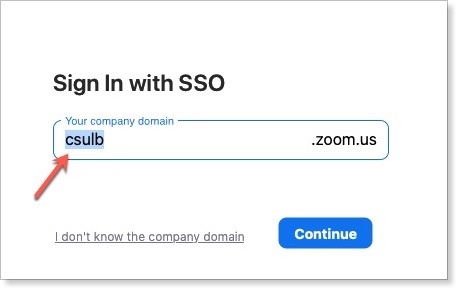 zoom csulb domain