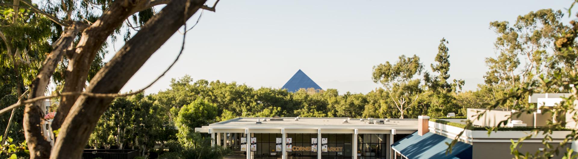 The iconic Walter Pyramid can be seen from upper campus peeking out above the tree line.