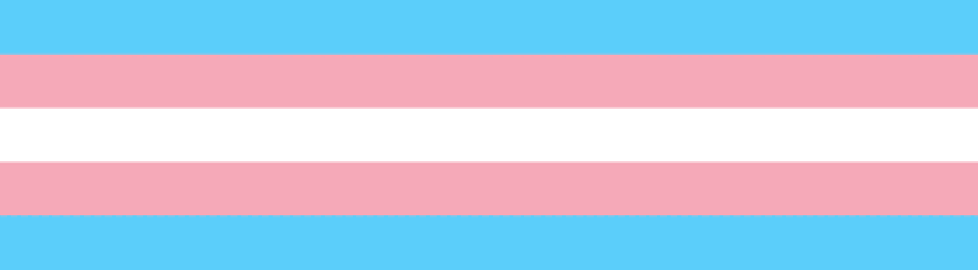 COB 2020 Transgender Flag