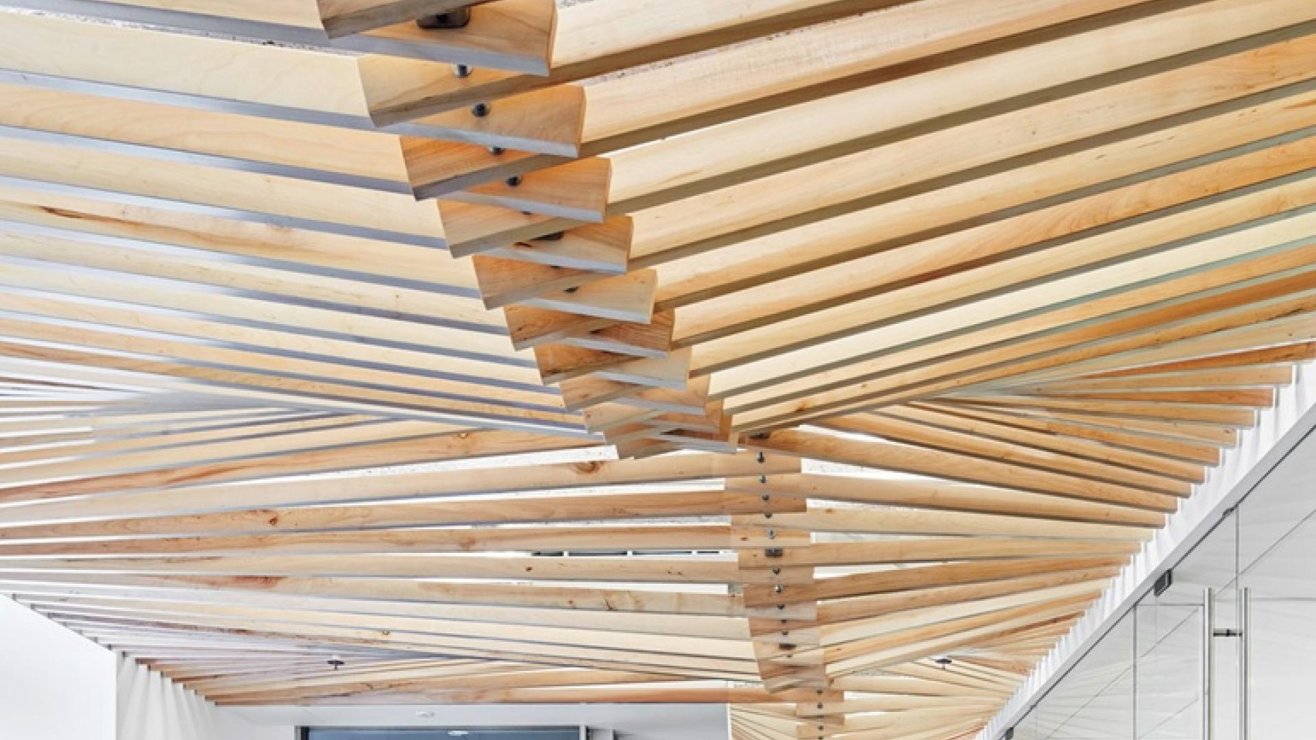 wood-canopy-office-area-turelk-los-angeles-gensler