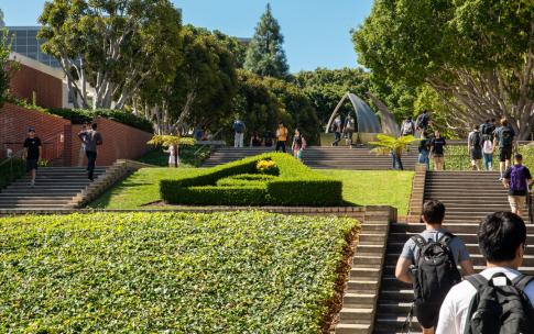students walking on steps mid-campus