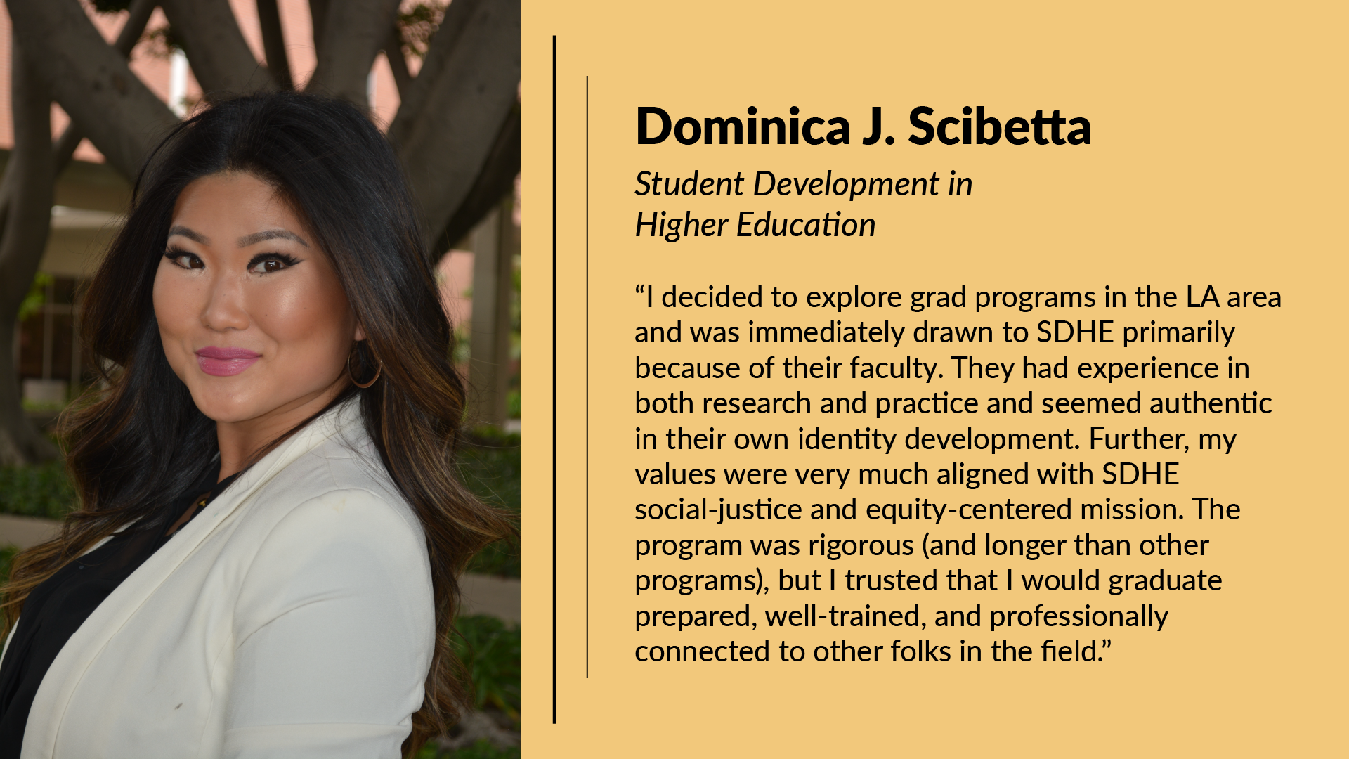 Dominica J. Scibetta Testimonial