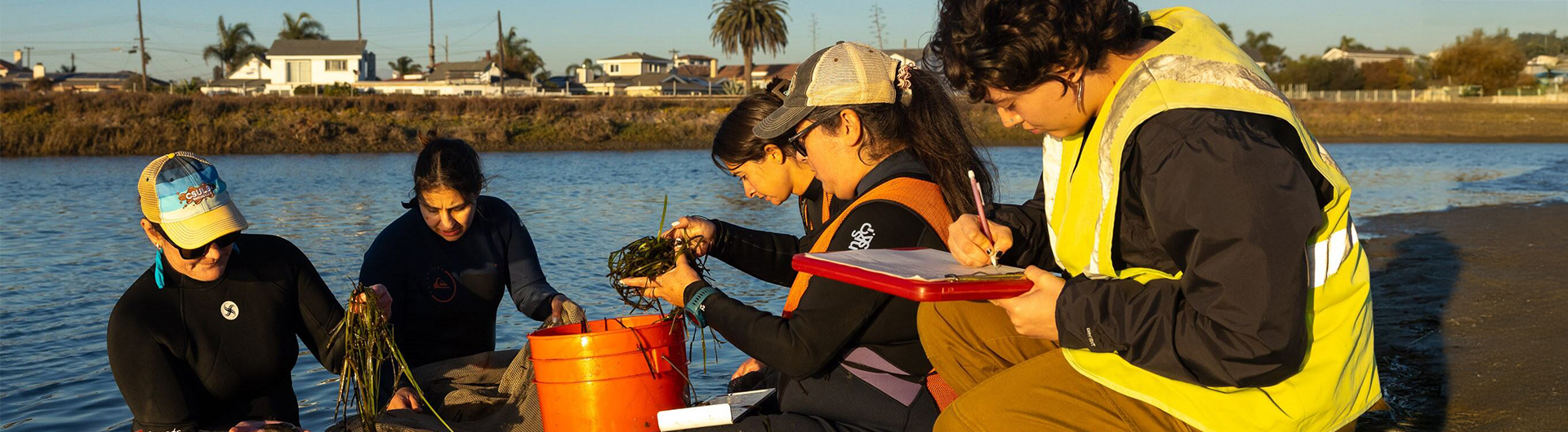 Urban Coast Wetlands