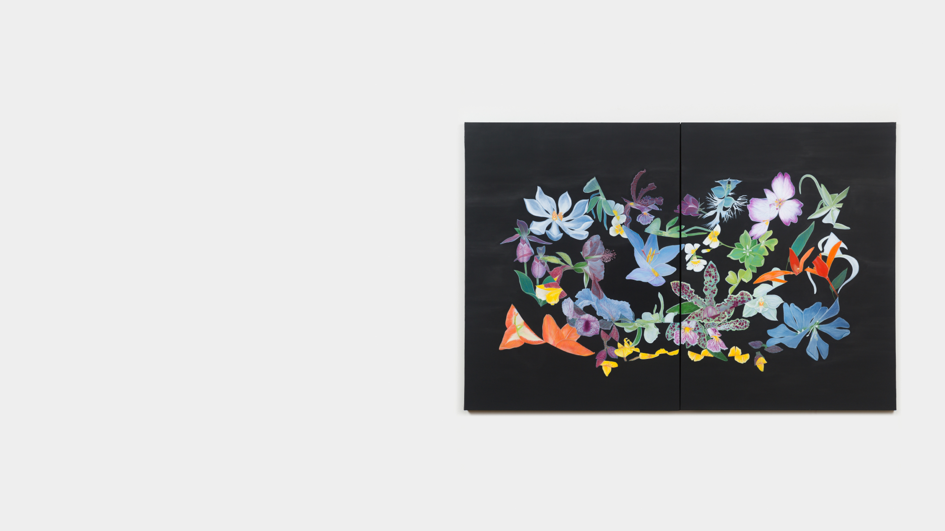 KCAM Velia banner