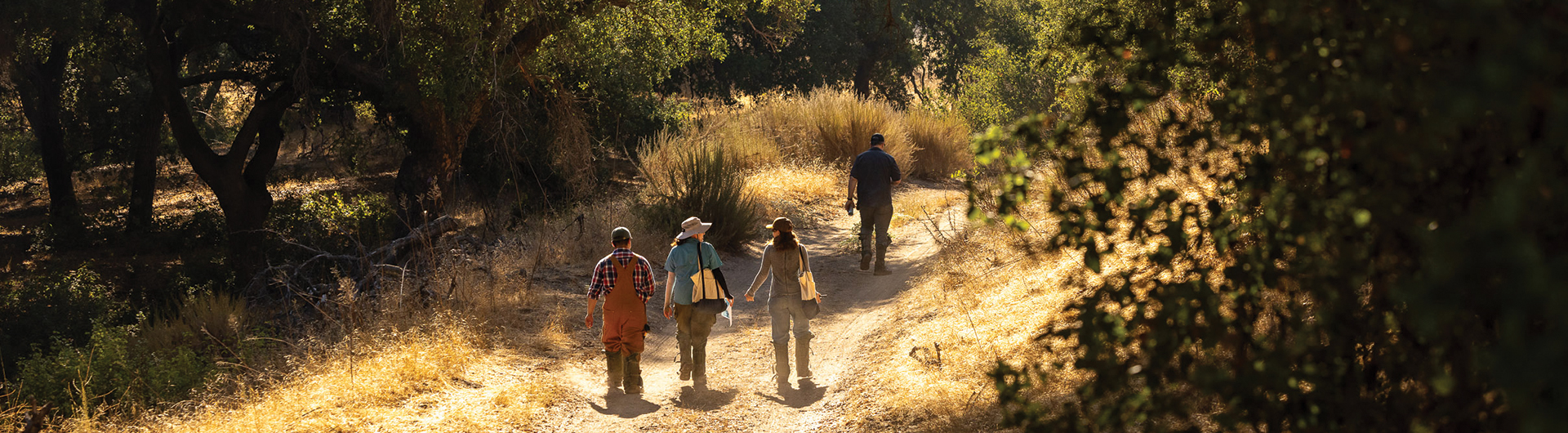 Banner image of professor walking with students in canyon
