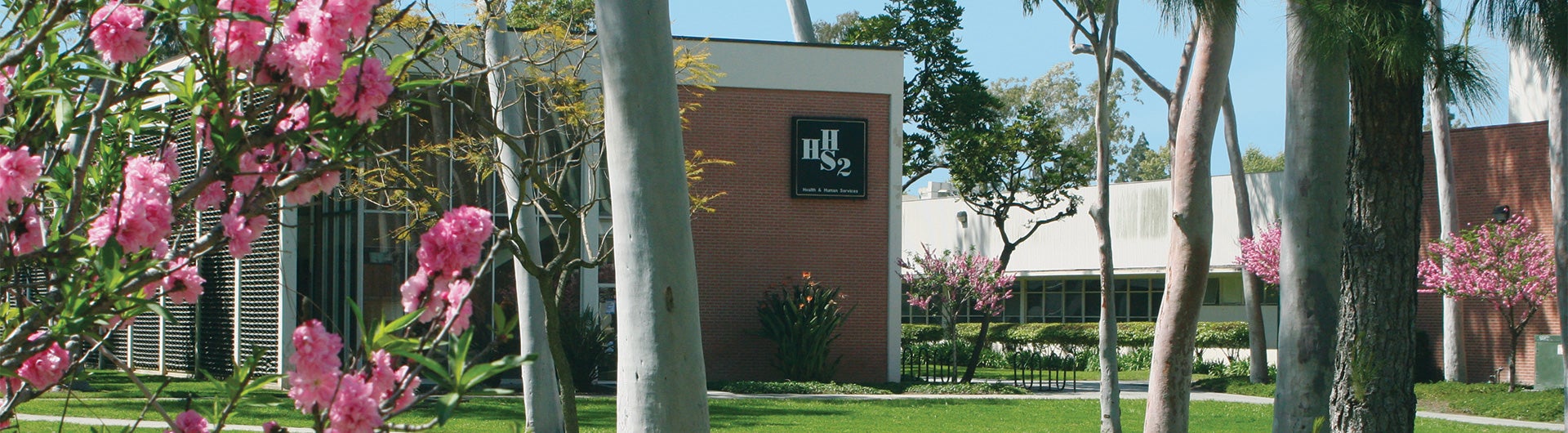 Master of Science in Health Care Administration