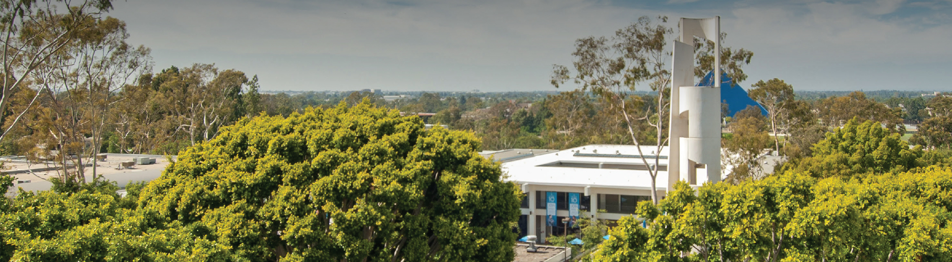 2022 Call For Student Research Awards | California State University, Long  Beach