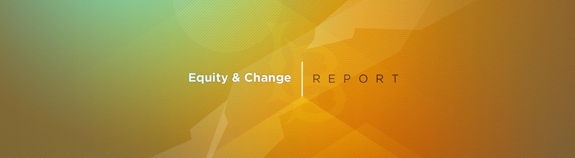 Equity &amp; Change Report