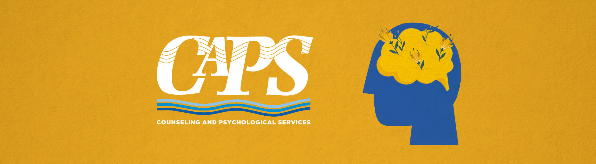Counseling and Psychological Services California State University