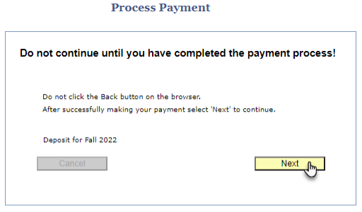 Screenshot of Process Payment page with Next button selected