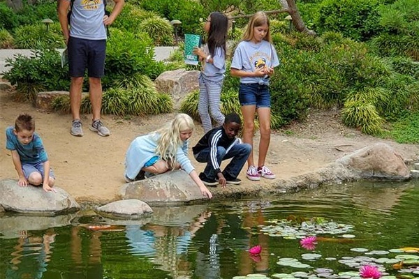 children observing plants and animals in a pond