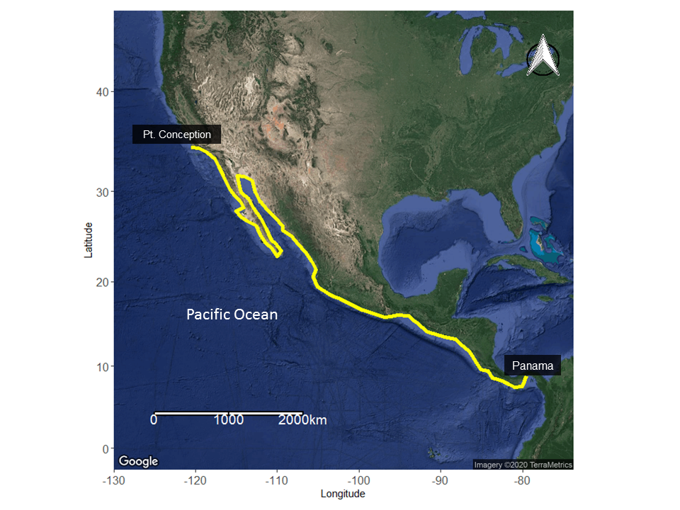14.png Fig. 1 - geographic range of round stingrays