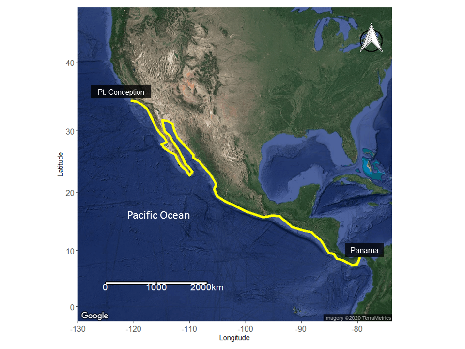 Fig. 1 - geographic range of round stingrays