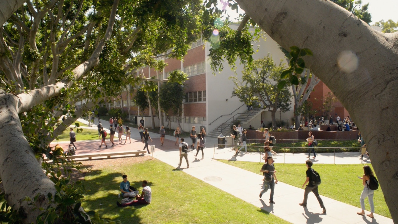 Image: 1stdayback.jpg