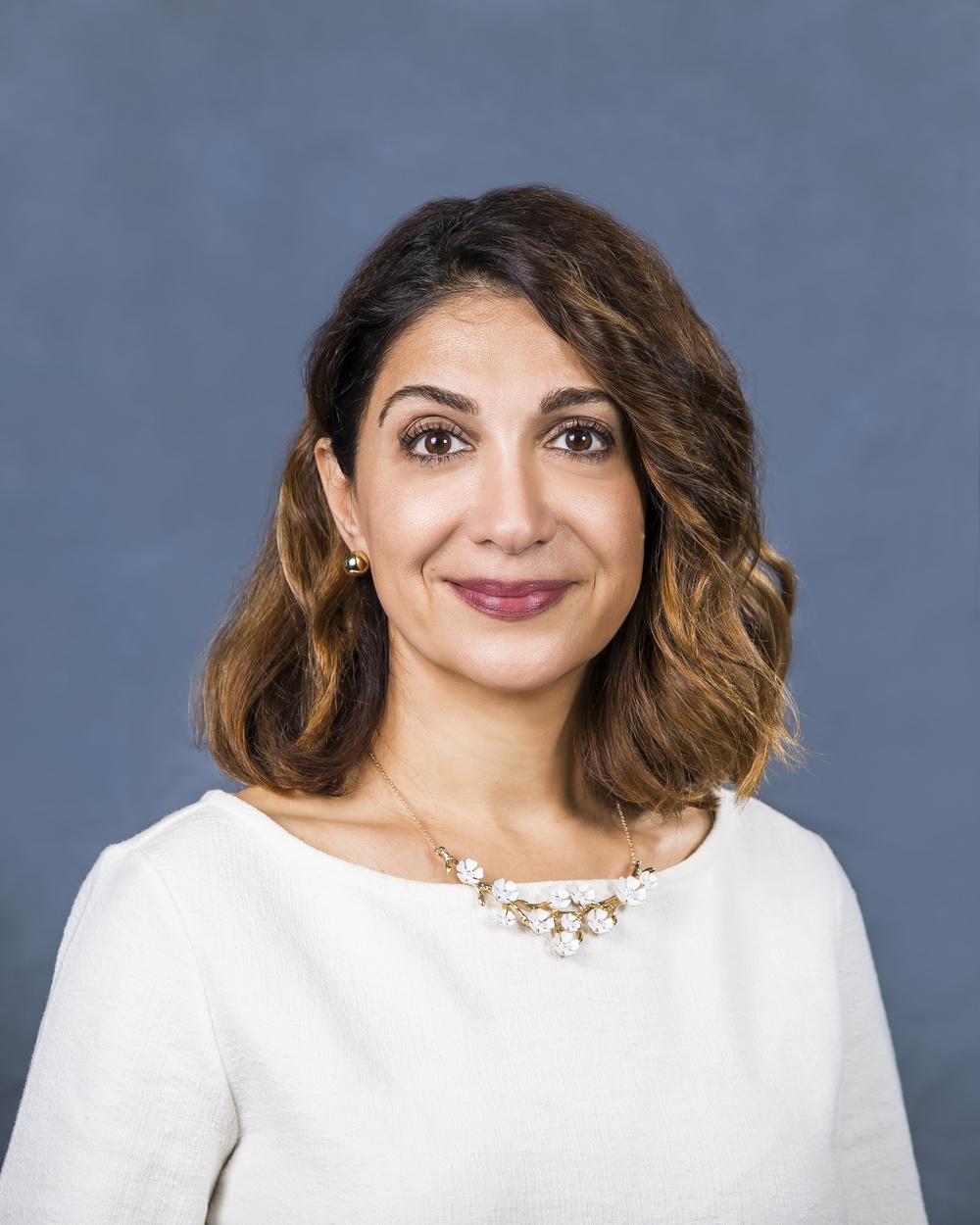 2017_da_hhs_susan_aramesh_price_01.jpg Susan Aramesh Price