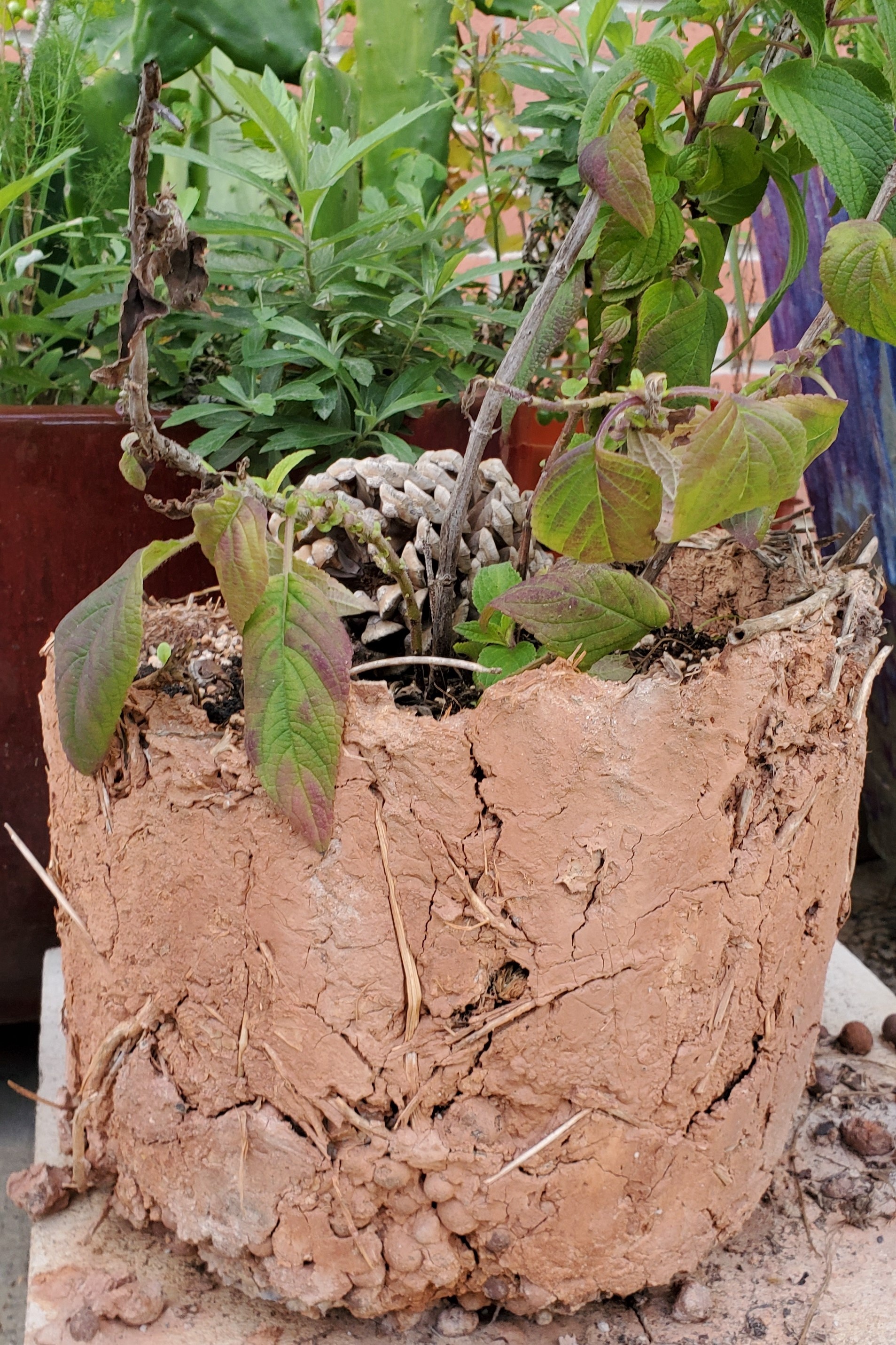 20191218_144438_crop.jpg upcycled pot