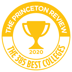 The Princeton Review
