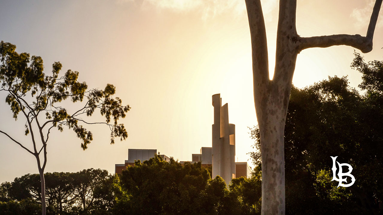 Campus scene in the afternoon sun