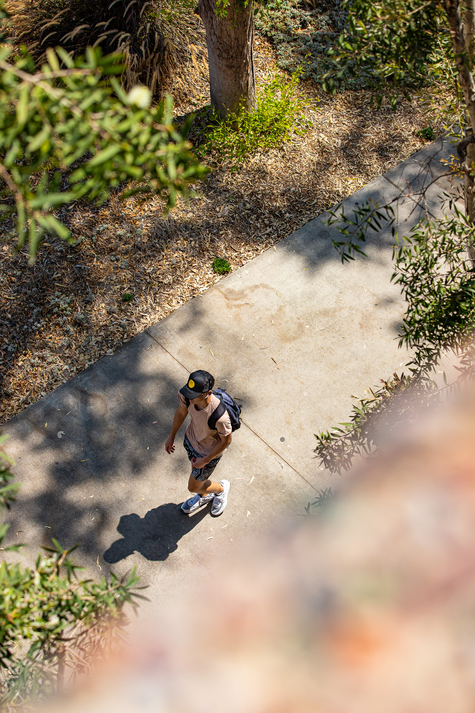 A student walks among the trees