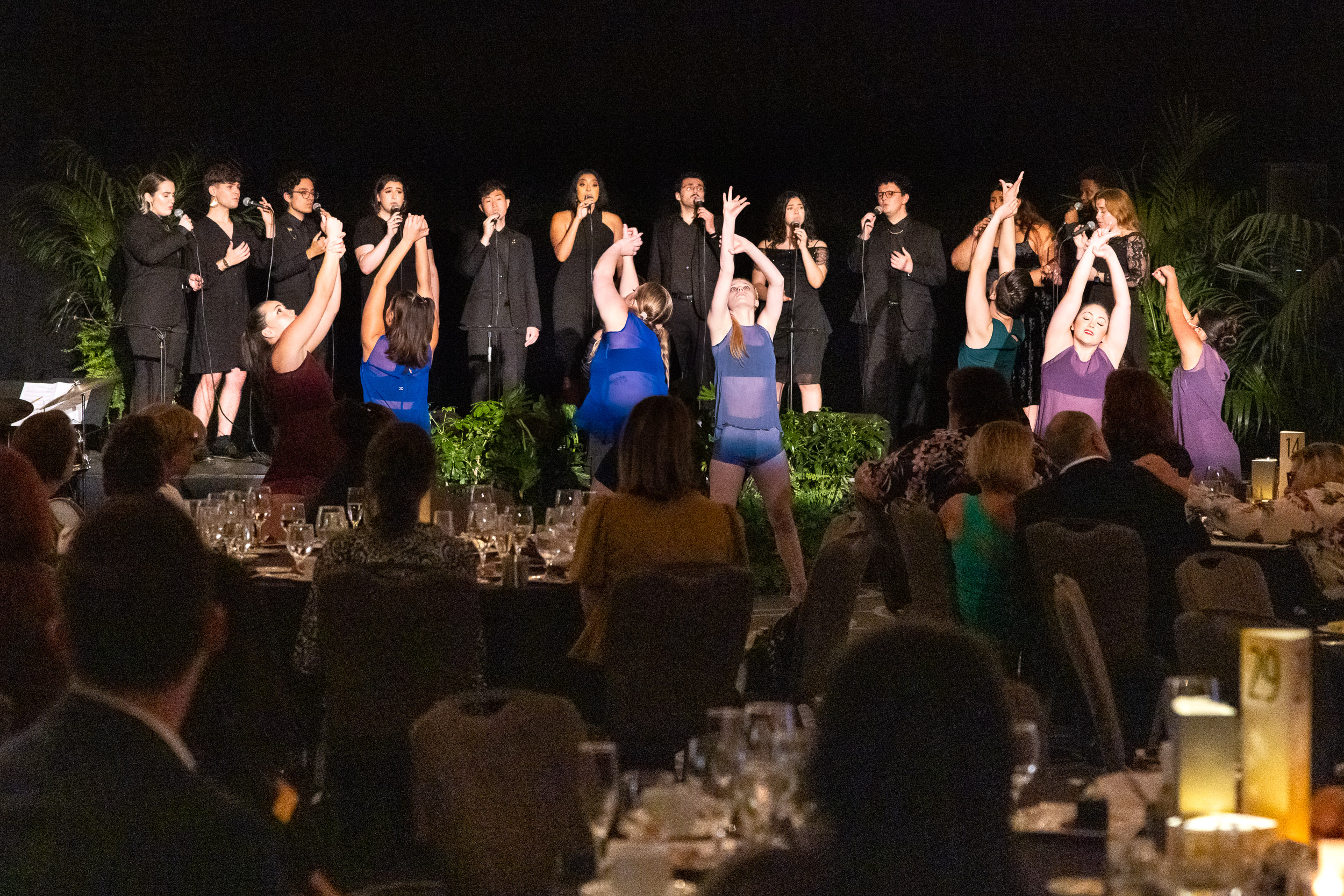 Dancers and singers perform at gala