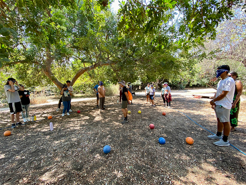 Dodgeball activity