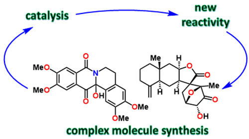 process for synthesizing complex natural products