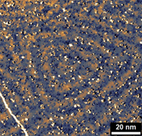 magnetic surface at 20 nanometer