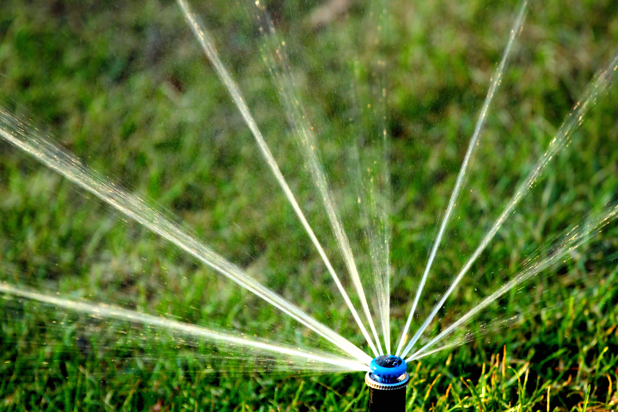 Wide ranging sprinkler