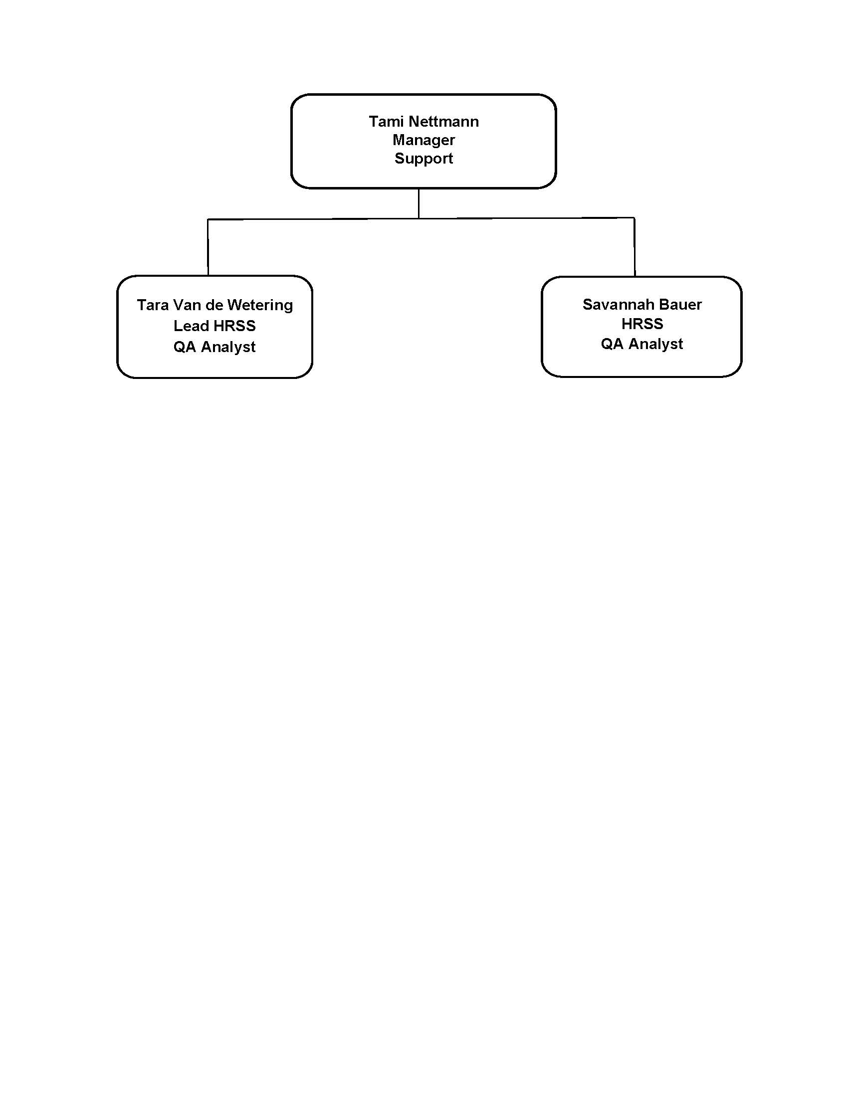 Org chart for HR Support services, Tami Nettman Manager, reporting to manager employees Tara Van de Wetering lead HRSS QA analyst, Savannah Bauer HRSS QA.