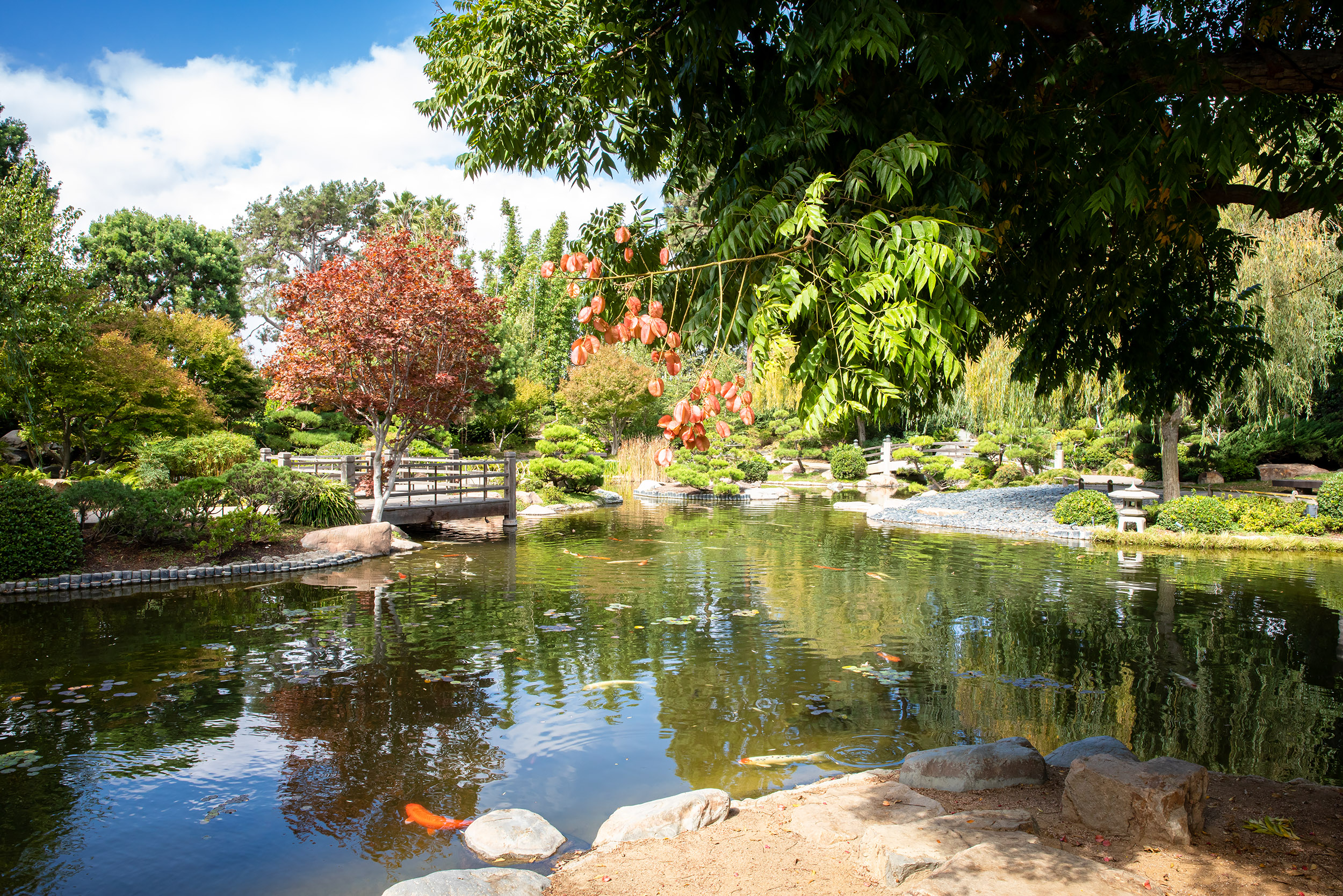 Japanese Garden pond