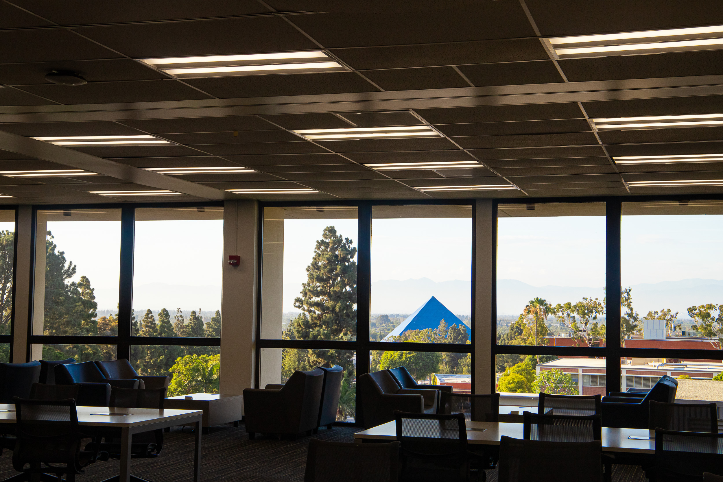 View from the University Library