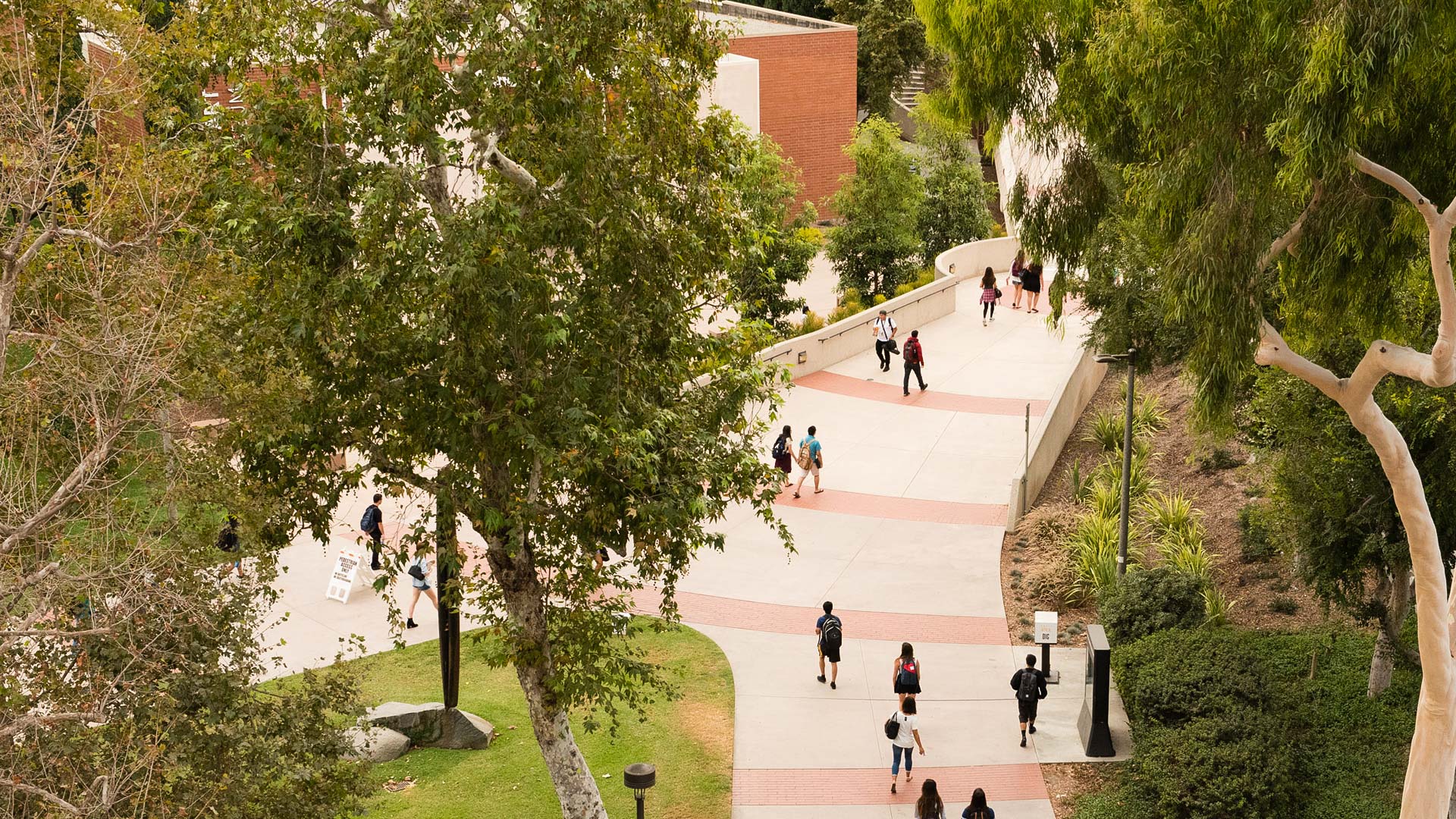 Students on campus