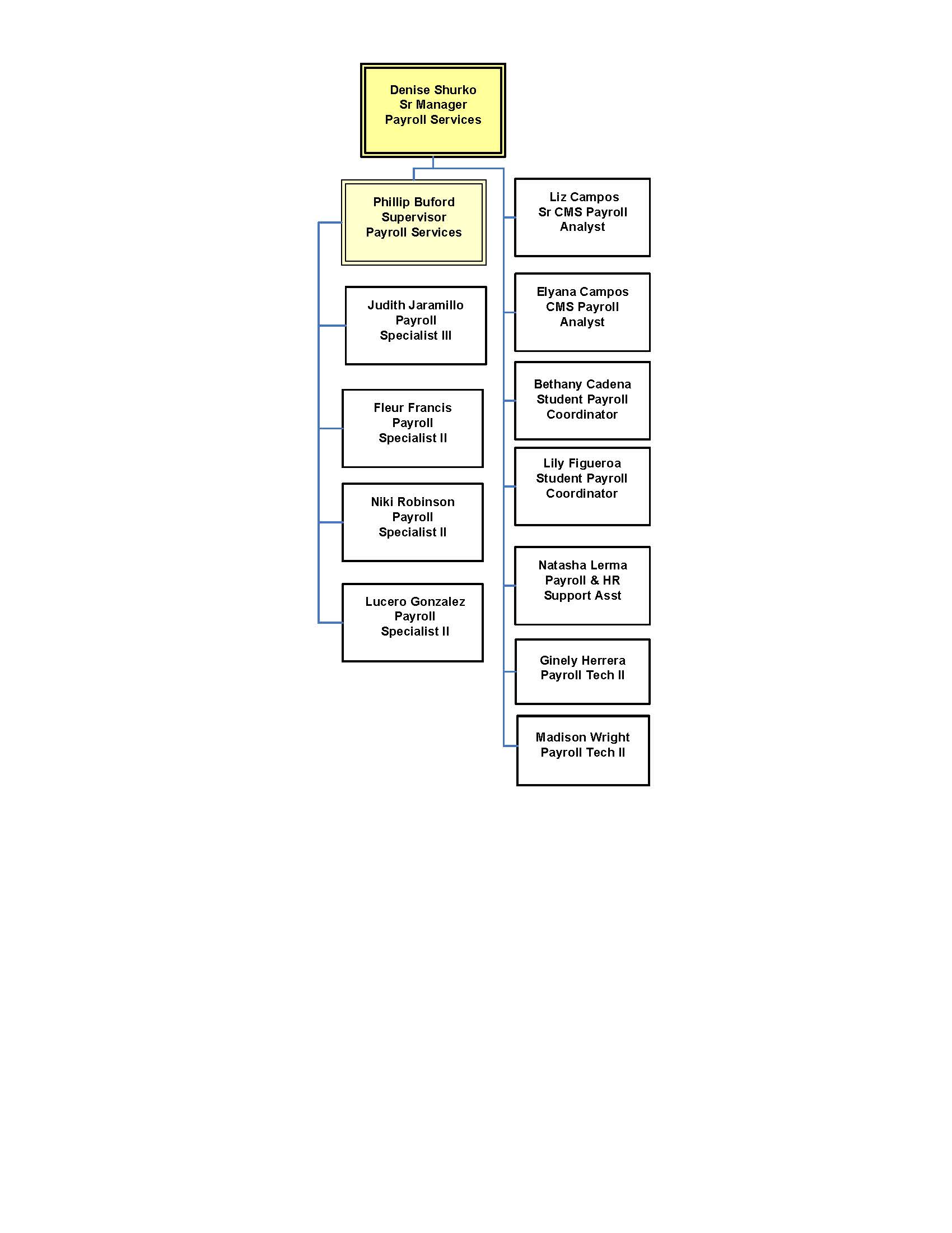 Payroll Services Organization Chart