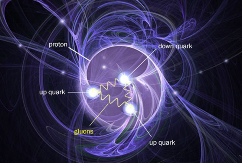 anatomy of a proton