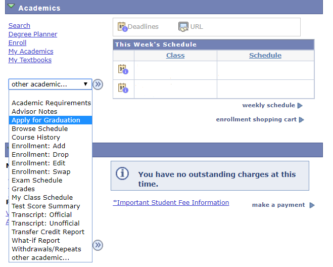 Screenshot of degree planner apply for graduation feature