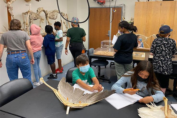 campers examining animal specimens