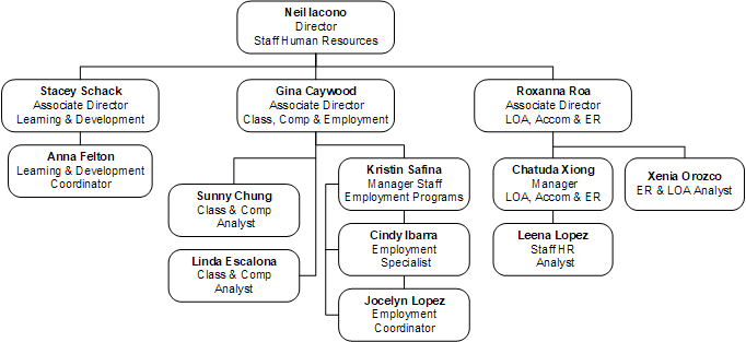 Staff Human Resources Org Chart